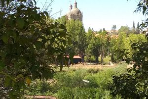 Park in Salamanca