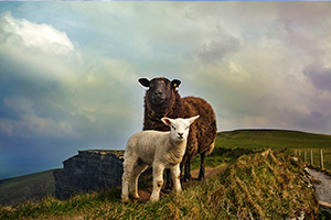 High School Irland 04