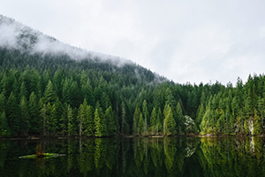 Umgebung von Vancouver