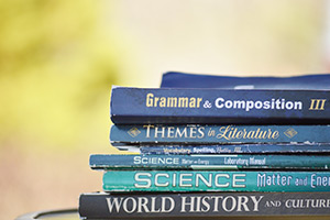 Erwachsenensprachreisen