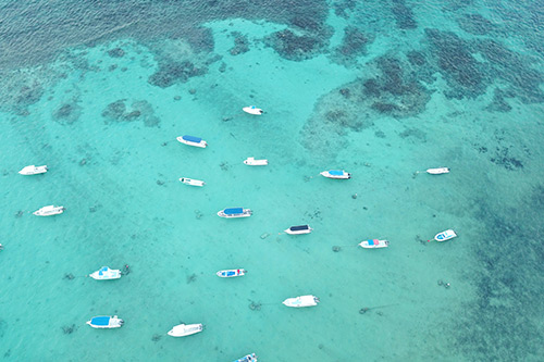 Sprachkurse in Playa del Carmen