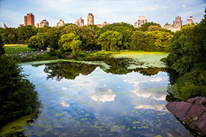Central Park New York