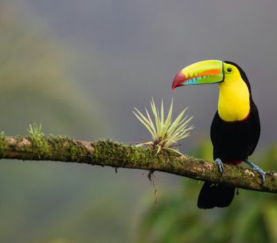 Familiensprachreise Valencia