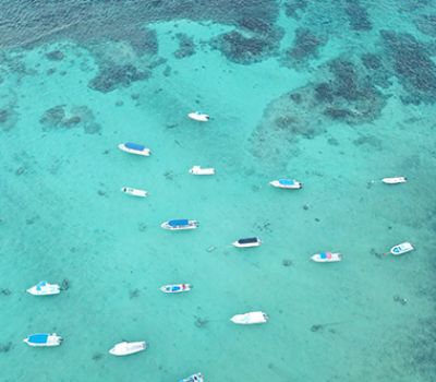 Sprachkurse in Playa del Carmen