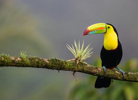 Sommercamp in Costa Rica